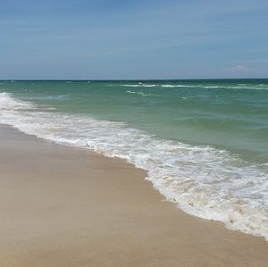 Meet your Posher, Elysse